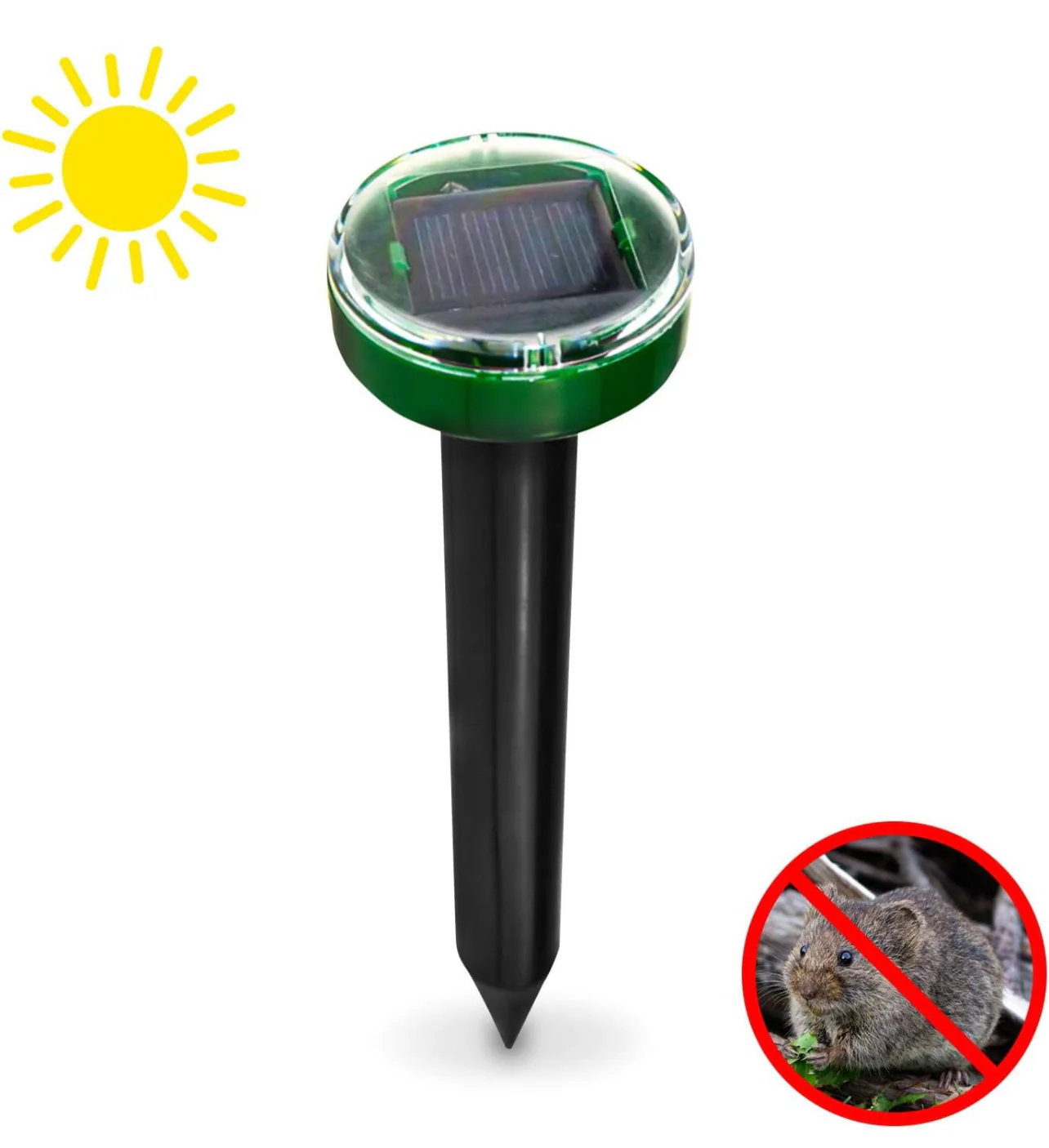 Thumbnail 10