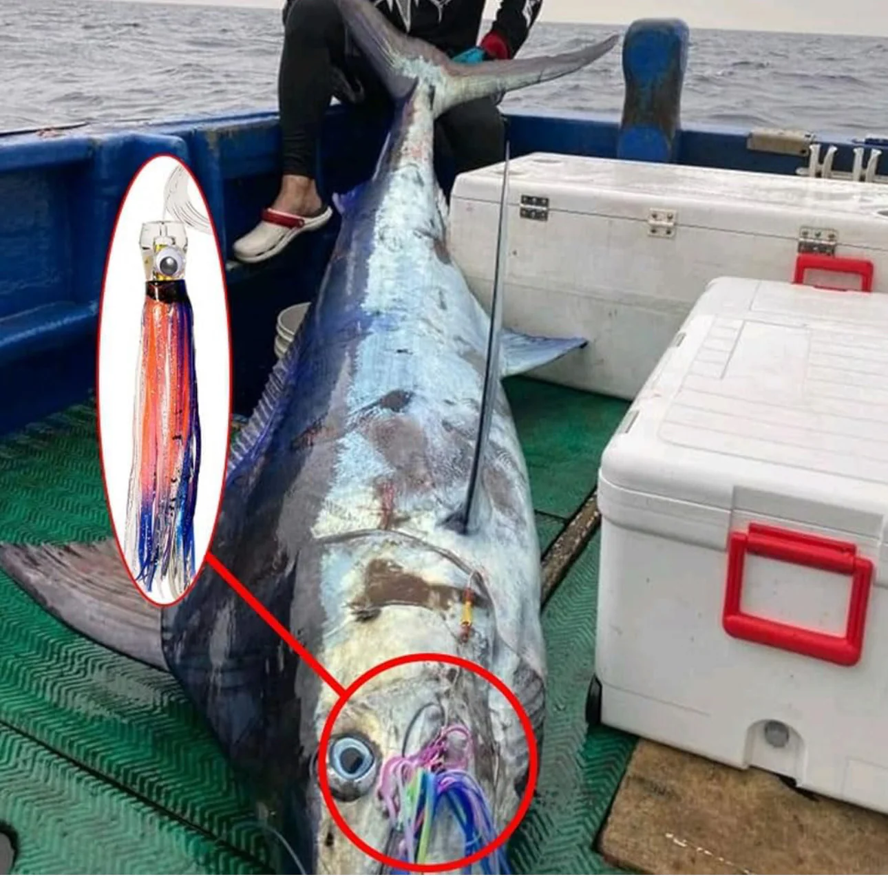 Thumbnail 7